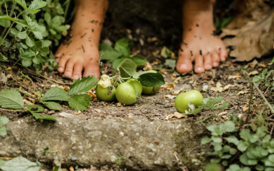 Auf dem Bild sieht man nackte, erdige Kinderfüße hinter grünen Mini Äpfeln aus unserem Garten.