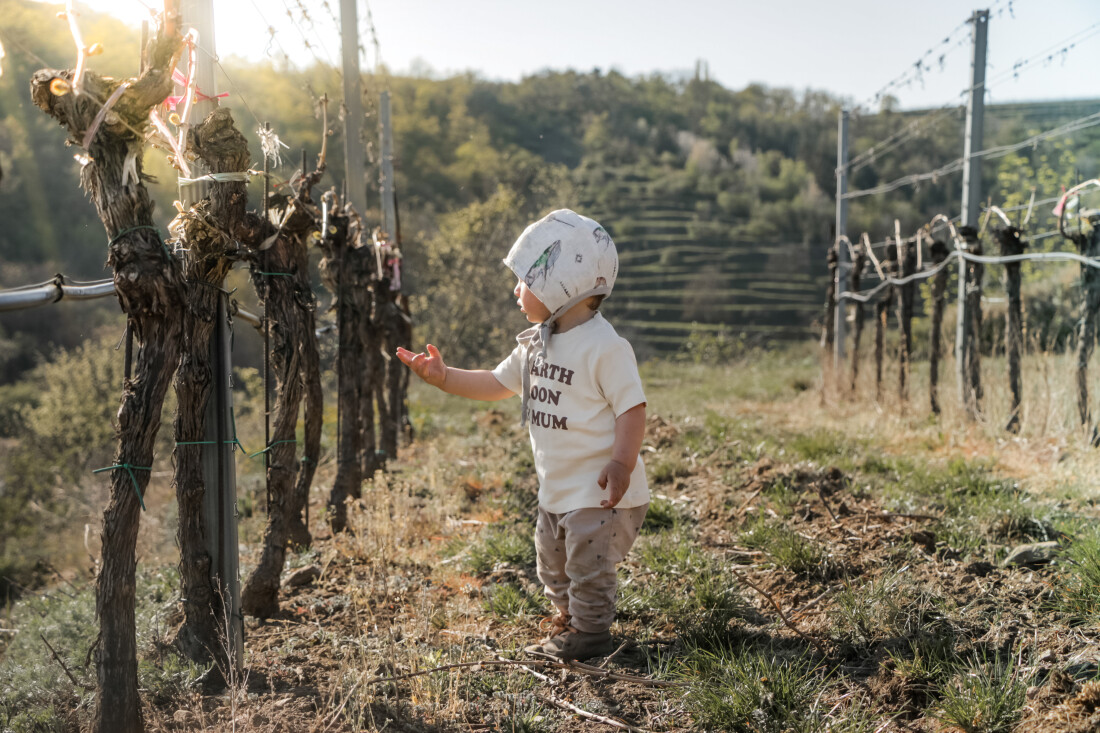 Baby zeigt auf Weinrebe im Weingarten