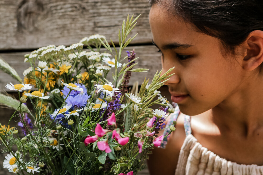 AUf dem Bild riecht das Fräulein an einem selbst gepflückten Feldblumenstrauss mit Kamille, Gras, Kornblumen und Getreide