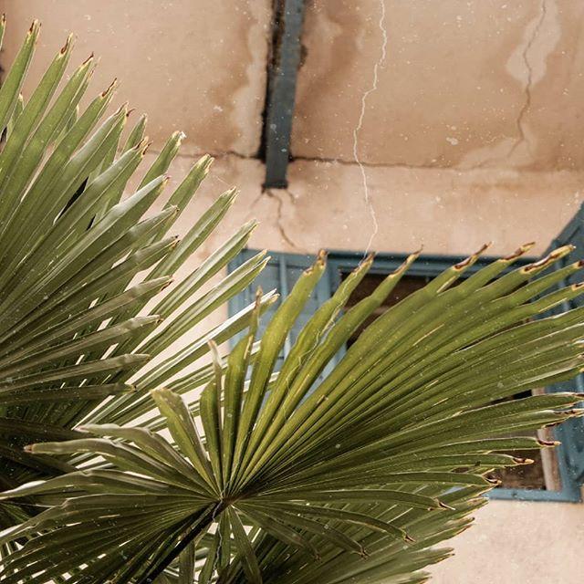 Back on the track! 🌱 Wir sind wieder da! Ich hoffe, ihr hattet eine schöne ...